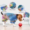 Hjumarayan Dog Surgery Recovery Suit - Post Op Dog Recovery