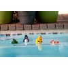 Poolmaster Safari Duck Swimming Pool and Spa Thermometer, 25301