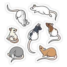 Rats Decal Sticker - Sticker Graphic - Auto, Wall, Laptop, Cell, Truck Sticker for Windows, Cars, Trucks