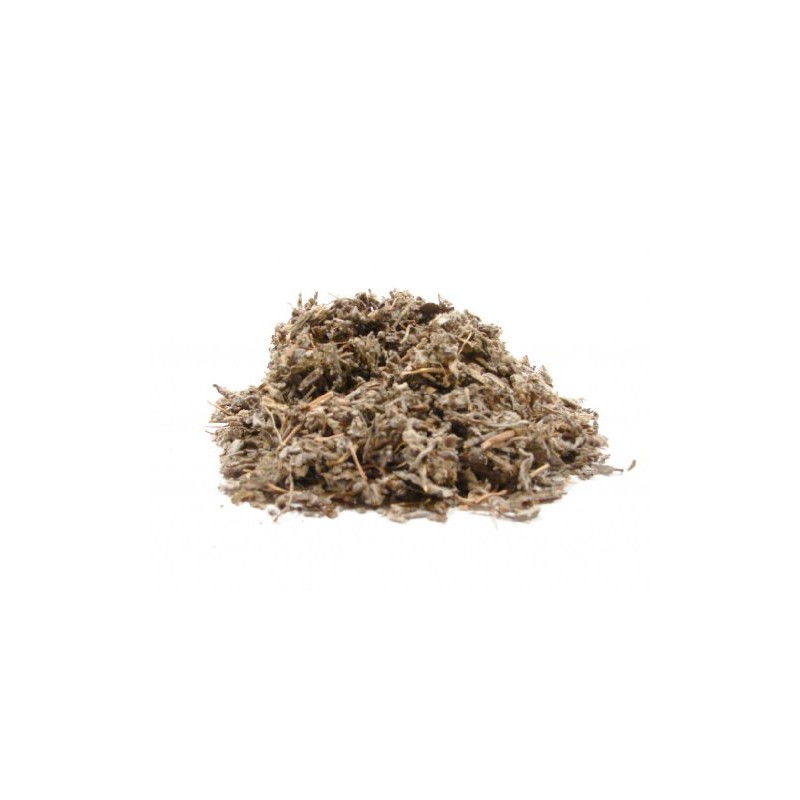 Sage Leaf, Whole-4oz-Sage Herb Whole