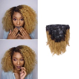 Loxxy Afro Kinky Curly Clip In Hair Extensions Remy Human Hair Kinky Hair Clip In 3C 4A Curly Kinky Clip In Hair Extensions For American African Black Women Two Tone Blound Afro Clip Ins #1b/27 12Inch