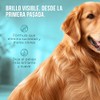 Shampoo para Perro - Brillo y Limpieza - Hipoalergnico -