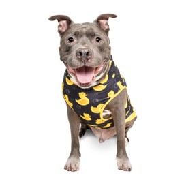 Pittie Clothing Pit Bull Muscle Tee for Dog Breed Dog Shirts Pet Printed Clothes Cool Funny