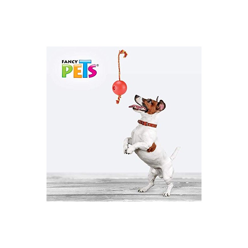 Fancy Pets FL9301 Juguete Bola Flotante