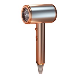 Negative Ion Hair Dryer High Power Blue Light Caring Quiet Hair Blower for Home Salon