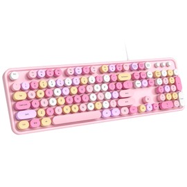 Dilter Wired Keyboard, 104 Keys Full-Sized Typewriter Keyboards, USB Plug and Play Office Keyboard with Number Pad, Caps Indicators, Foldable Stands for Windows, PC, Laptop (Pink Colorful)