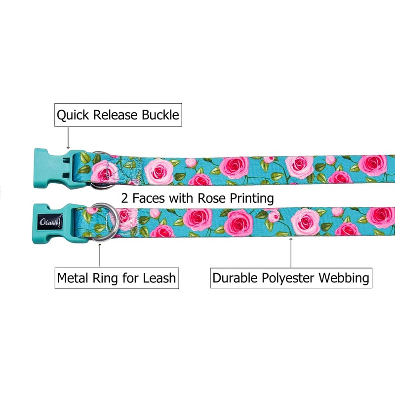 Olahibi Dog Collar and Leash Combo Set, Cute Rose Pattern,