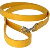 Vibrant Leather Dog Collar & Lead Combo Set for Puppy,