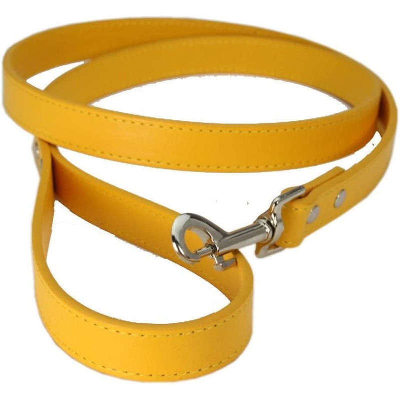 Vibrant Leather Dog Collar & Lead Combo Set for Puppy,