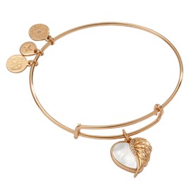 Alex and Ani Wings of Protection Charm Bangle