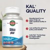 Kal Silica Plus Tabletas, 90 unidades