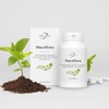 Dr. Selz Muco Flora capsules intestinal building preparation with 14