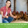 Omevett 6pcs Fake Chicken Eggs Wooden Eggs for Crafts Arts
