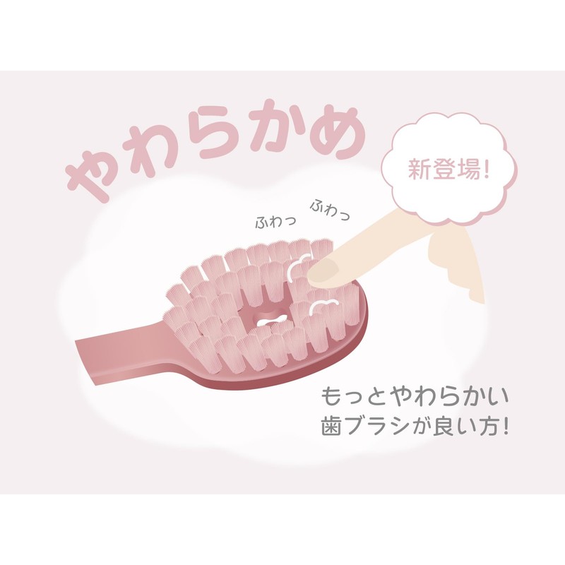 Sakabe Brush [Made in Japan] Perforation Reaches the Back Tooth