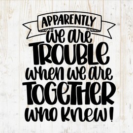 Friendship Quote Decals Sticker - Vinyl Decal for Wall Bottle Phone Car Home Bike Laptop Silhouette -Funny Quotes for Friends DWSV4506