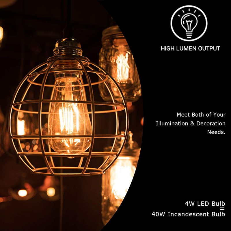 LUXON LED Edison Bulbs,Dimmable Amber Glass,Warm White 2700K,4W(40W Equivalent) Antique