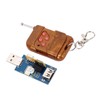 USB Output Control Module 433MHz 2.4G WiFi Wireless Intelligent Mobile