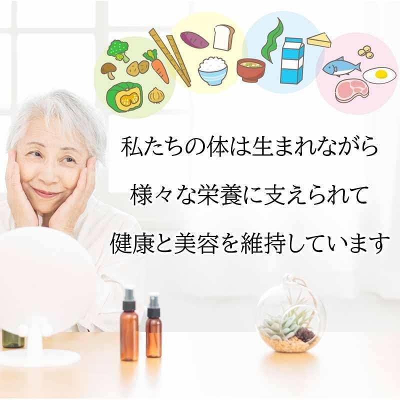 サツマ薬局 安寿薩摩丸EX タネニンジン クコの実 (480錠×1本)