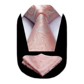 HISDERN Pink Paisley Ties For Men Wedding Tie Handkerchief Men's Necktie and Pocket Square Set Floral Jacquard Solid Color Tie Elegant