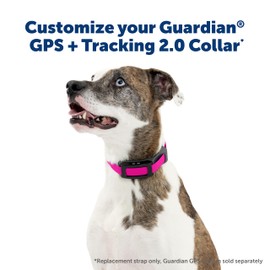 PetSafe Replacement Strap for Guardian GPS 2.0 Dog Fence + Tracking Collar, Made with Soft-Touch Nylon for Enhanced Comfort and Long-Lasting Wear - Water-Wicking, Waterproof Material, Pink