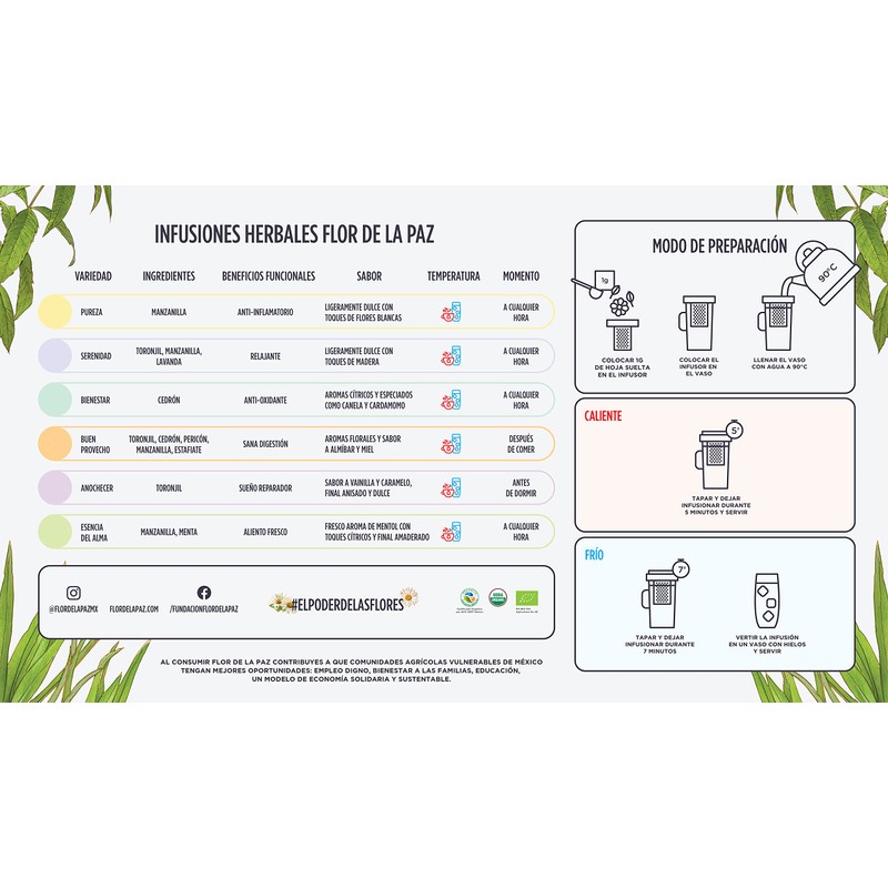 FLOR DE LA PAZ Bienestar, infusión herbal orgánica de cedrón,