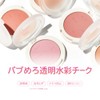 oenir 02 Salty Powder Cheek, Muted Blusher, 0.2 oz (5