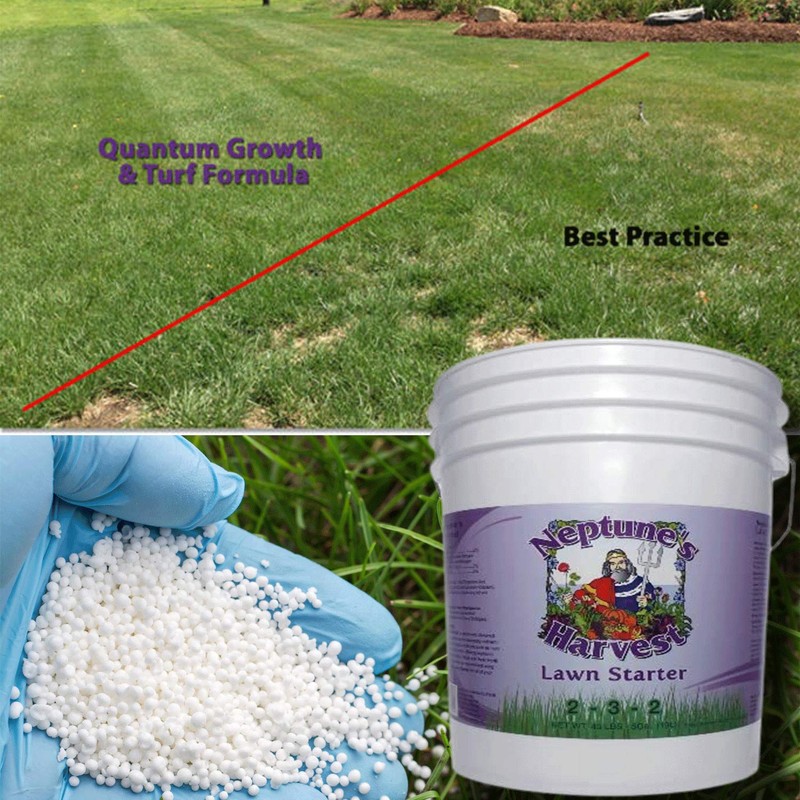 Neptune's Harvest Lawn Starter Fertilizer, 5 Gallon Pail