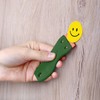 CANOPUS Plastic Scraper Tool Non Scratch with 10 Plastic Razor