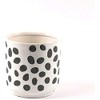 Sill and Sage Glossy Dot Pots, Black/White, Medium