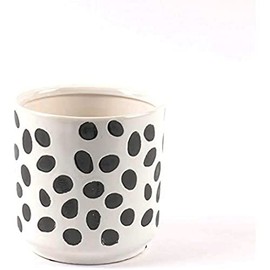 Sill and Sage Glossy Dot Pots, Black/White, Medium