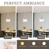 Osimir Brushed Nickel Pendant Lights Kitchen Island, 1-Light 5.9" Modern