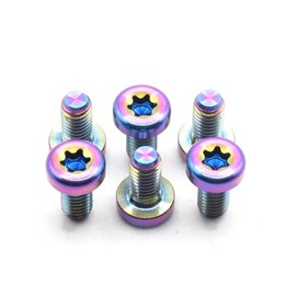 Easybikeparts Titan Scheibenrotorschrauben - M5x10mm T25 Torx - Ultraleicht & korrosionsbeständig - 6 Stück - Kompatibel mit MTB, Straße, Kies und E-Bikes (Oil Slick)