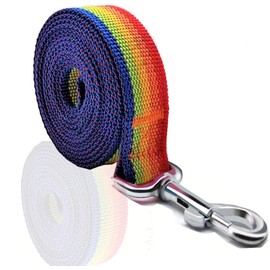 Nylon Dog Leash 4 Ft 5 Feet 6 Foot Long, Walking Training Dog Leashes for Medium Large Dogs, 1 Inch Wide (1" X 6 ft, Rainbow)