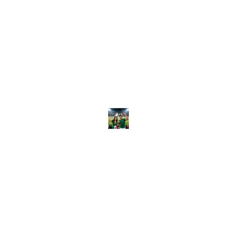 Set De 10 Diademas Con Moño De Bandera De México