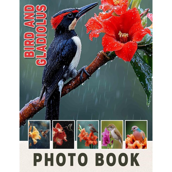 Bird And Gladiolus