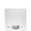 Taylor Pro Digital Cooking Scales with Touchless Tare, For Dry
