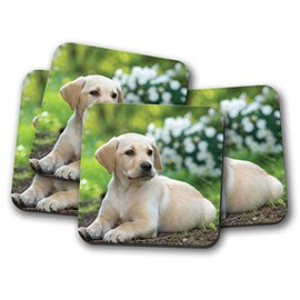 4 Set - Cute Labrador Puppy Cork Backed Drinks Coaster - Dog Dogs Golden Retriever #8396
