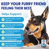 Joint Aid & Relief for Dogs, Dog Joint Aid Liquid