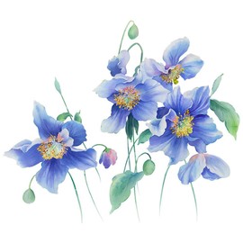 Condessacity Blue Watercolor Flower Wall Sticker Stylish Wall Sticker Large Wall Sticker Removable Flower Living Room Rental Bedroom Wall Decor Cupboard Furniture Wall Sticker Decoration Wall Art