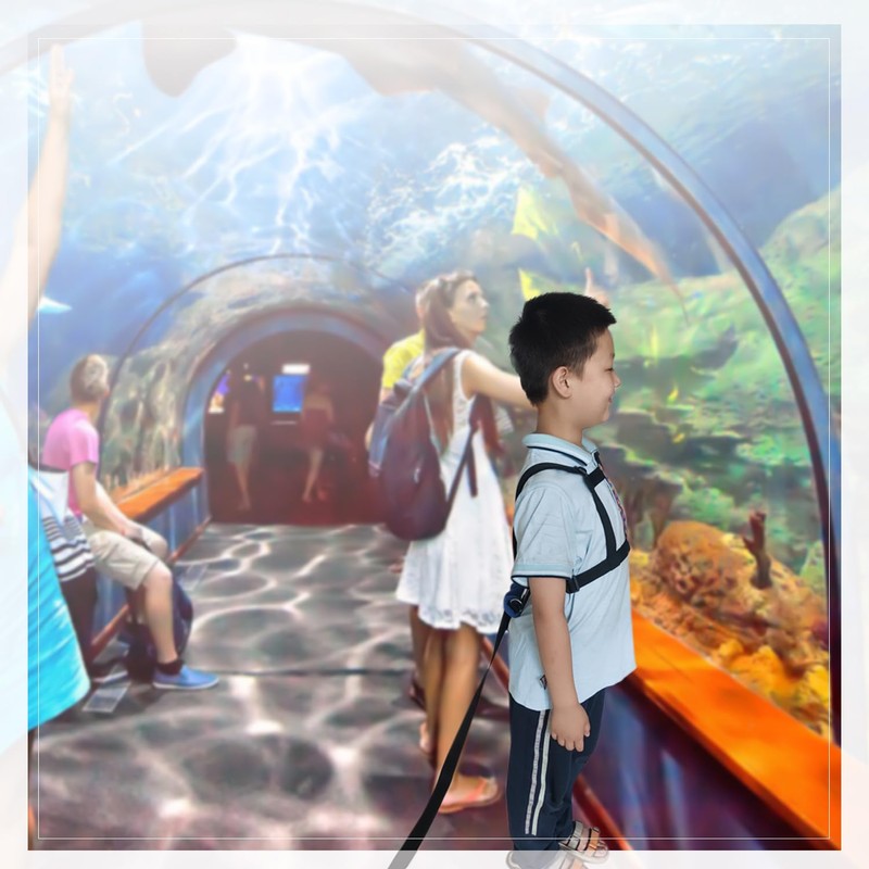 welsoon Walking Harness for Older Children with Quick Grab Handle