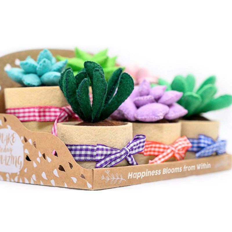 Felt Succulents Craft Kit. Make 6 Potted Colorful Plushies &
