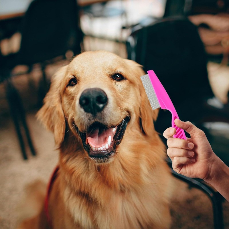 3 Pcs Flea Comb,Lice Comb Pet Hair Cleaning Grooming Set,