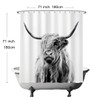 Ulticool Shower Curtain - Scottish Highlander Black White - 180