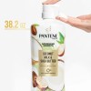 Pantene Pro-V Nourishing Shampoo, Coconut Milk & Shea Butter, 38.2