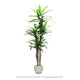 AMERIQUE Gorgeous Tropical Dracaena Artificial Tree Silk Plant with UV Protection, Nursery Plastic Pot, Feel Real Technology, Super Quality, 6', Green and Red