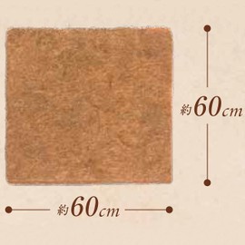 Takasho Palm Mat Square Sheet, 23.6 inches (60 cm)