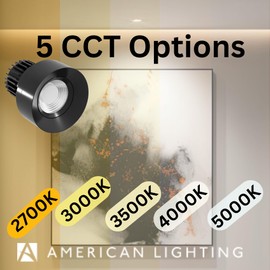 American Lighting Rhyme 3" LED Gimbal Downlight, Black Finish, 5CCT Adjustable (2700K-5000K), 12W, 950 Lumens, IC-Rated, Wet Location, Trim & Trimless Accessories, ETL Listed