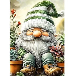 AIRDEA Gnome Diamond Art Painting Kits for Adults,5D Diamond Dots Kits for Beginner,Succulent Peinture Diamant Kits 30x40 cm,Round Full Drill