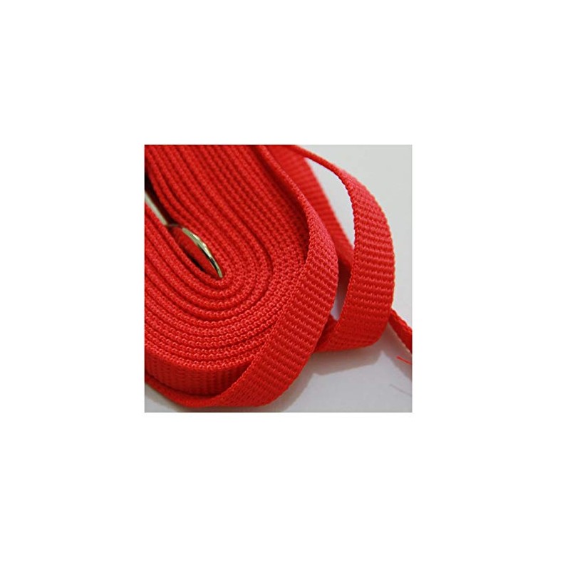5 Metre Dog Lead Puppy Pet Training Recall Walking Harness