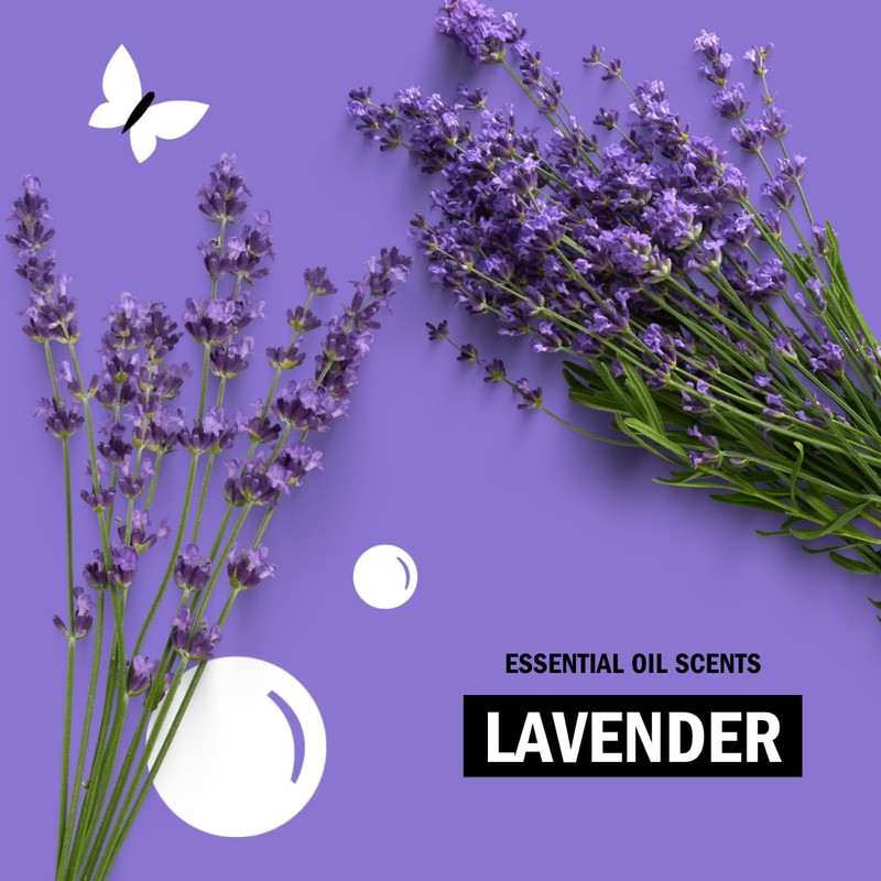 Molly's Suds Natural Liquid Dish Soap | Long-Lasting, Powerful Plant-Powered